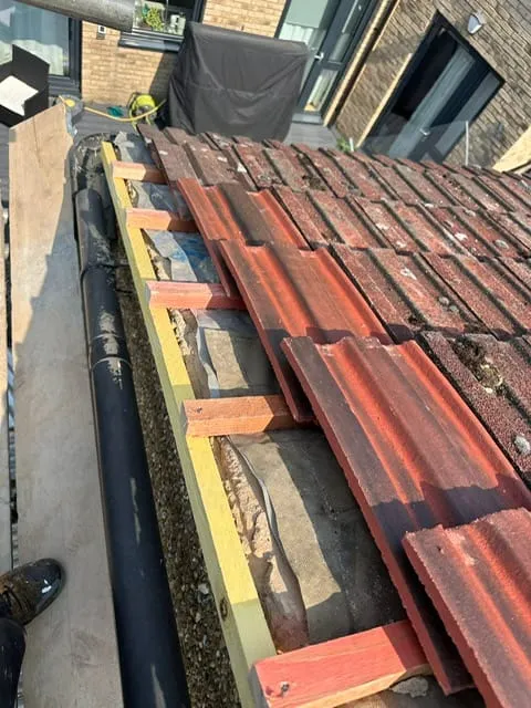  Ridges